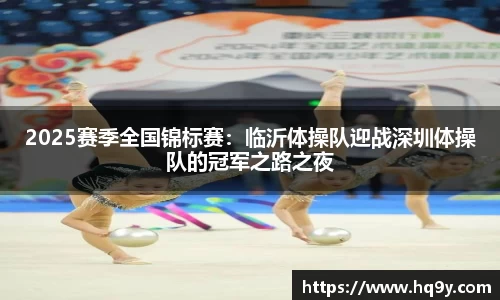 2025赛季全国锦标赛：临沂体操队迎战深圳体操队的冠军之路之夜