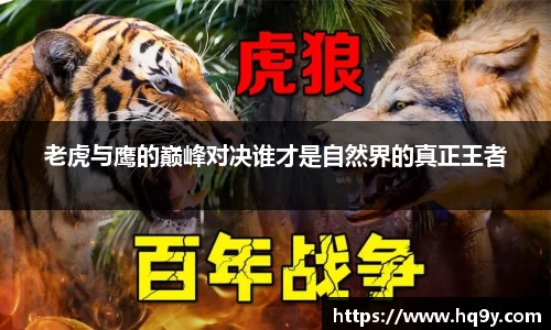 yy体育
