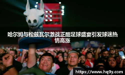 哈尔姆与松兹瓦尔激战正酣足球盛宴引发球迷热情高涨